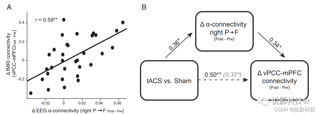PNAS:alpha频率经颅电刺激调控大脑默认网络