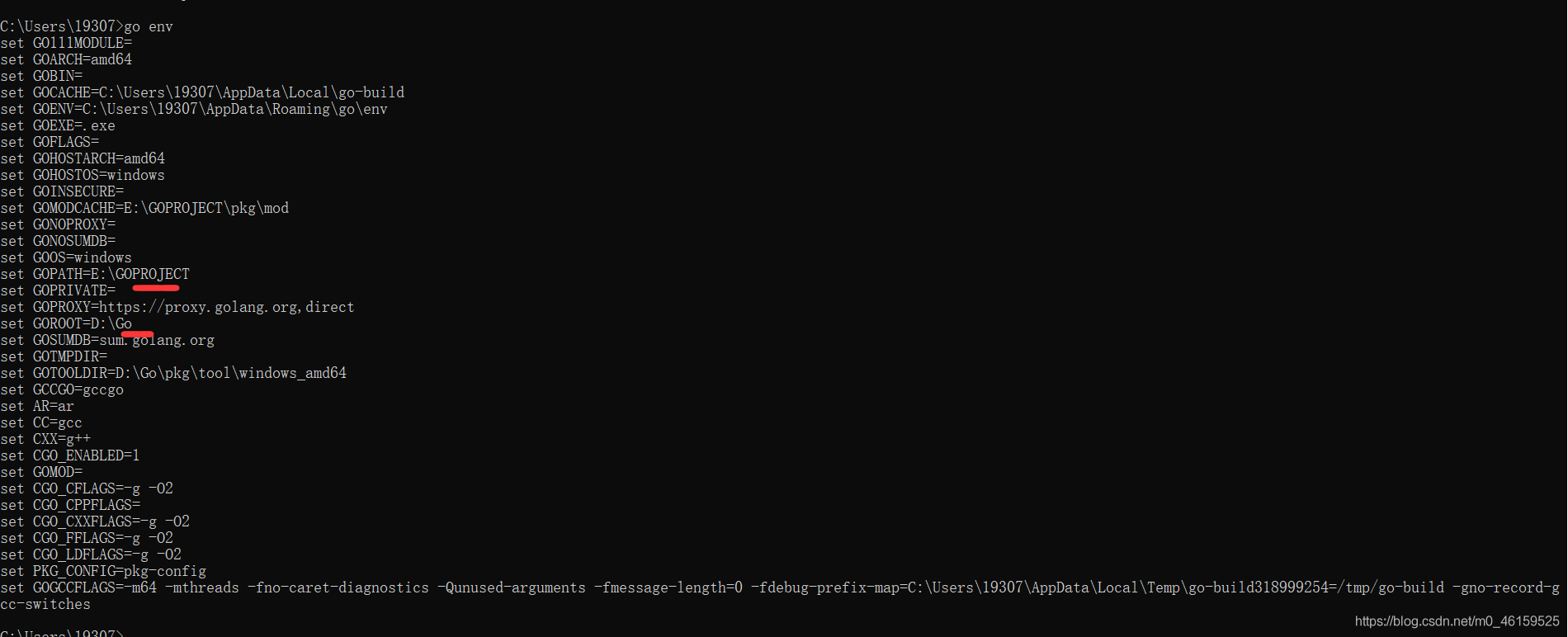 Establishment of golang environment