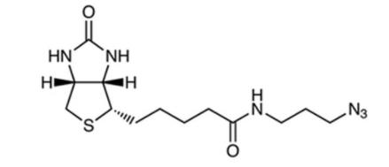 Characteristics of the (CAS:1527486-16-3TAMRA-azide-PEG3-Biotin) reaction in biotin azide!