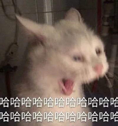 8d09de55cbcfc2fe0015551f7e32dc55.png