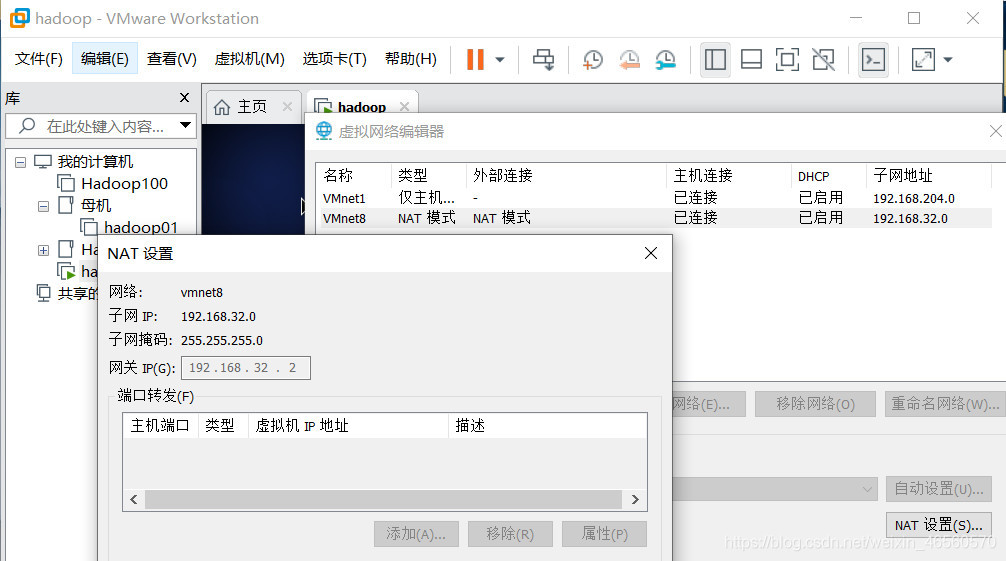 Network configuration in NAT mode after VMware virtual machine cloning