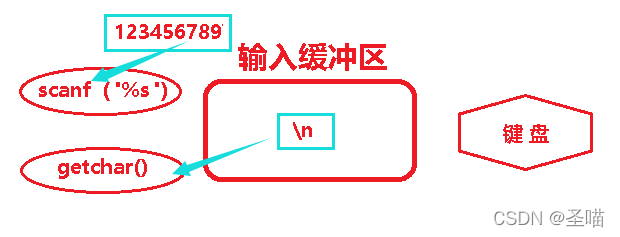 How to empty the input buffer