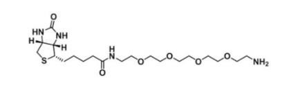Xi'an biotin-tetrapolyethylene glycol-amide-4phenol light yellow semi-solid