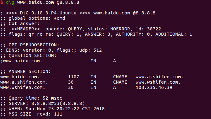 域名DNS解析工具ping/nslookup/dig/host