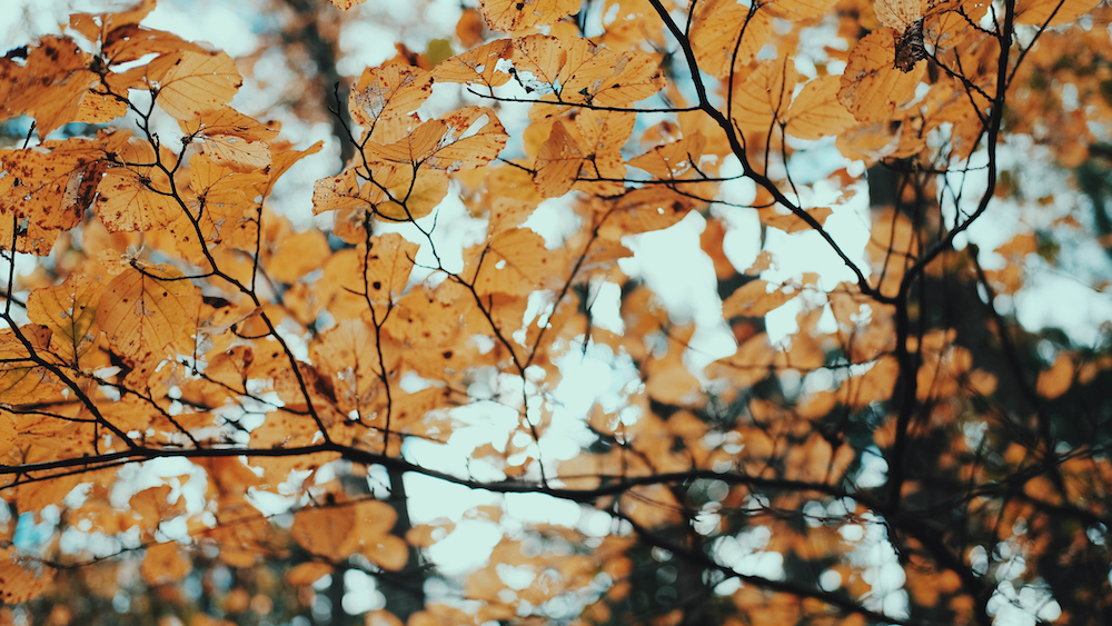 一篇文章看懂JS闭包,从执行上下文角度解析有趣的闭包