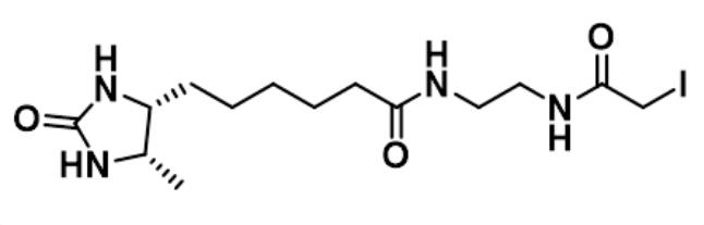 碘乙酰胺在Desthiobiotin-Iodoacetamide试剂中的作用?