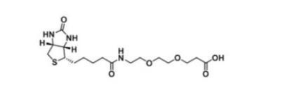 Involved in PEG-Biotin (CAS: 1778736-18-7) Biotin-PEG4-OH is widely used in molecular target detection