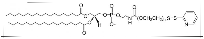 DSPE-PEG-PDP, DSPE-PEG-OPSS, phospholipid-polyethylene glycol-mercaptopyridine reduce the immunogenicity of peptides