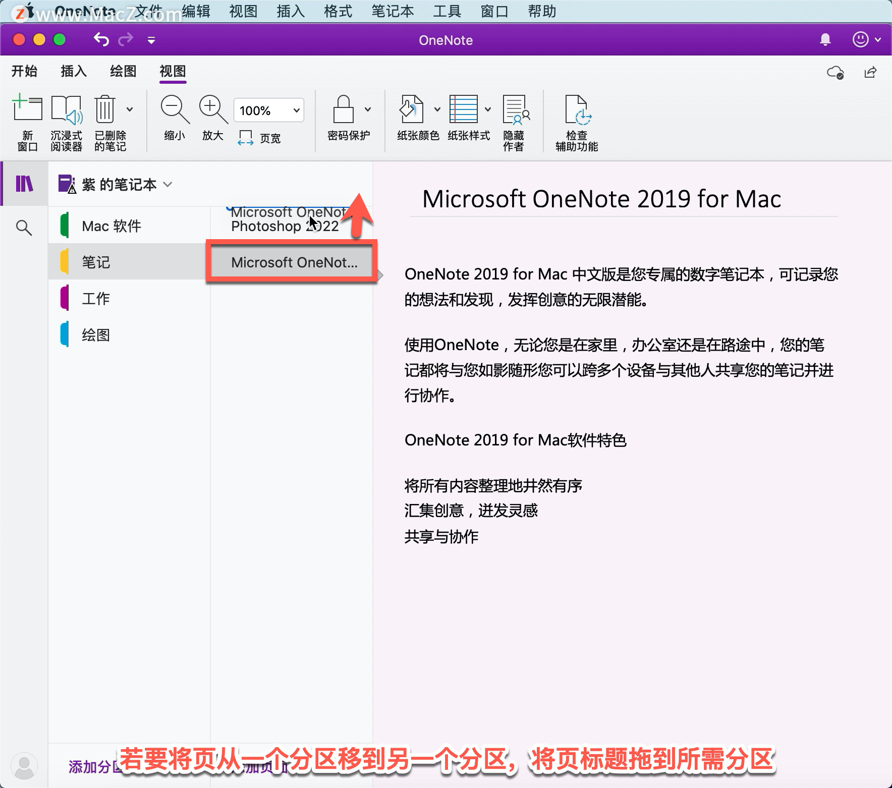 OneNote tutorial, how to organize notebooks in OneNote?
