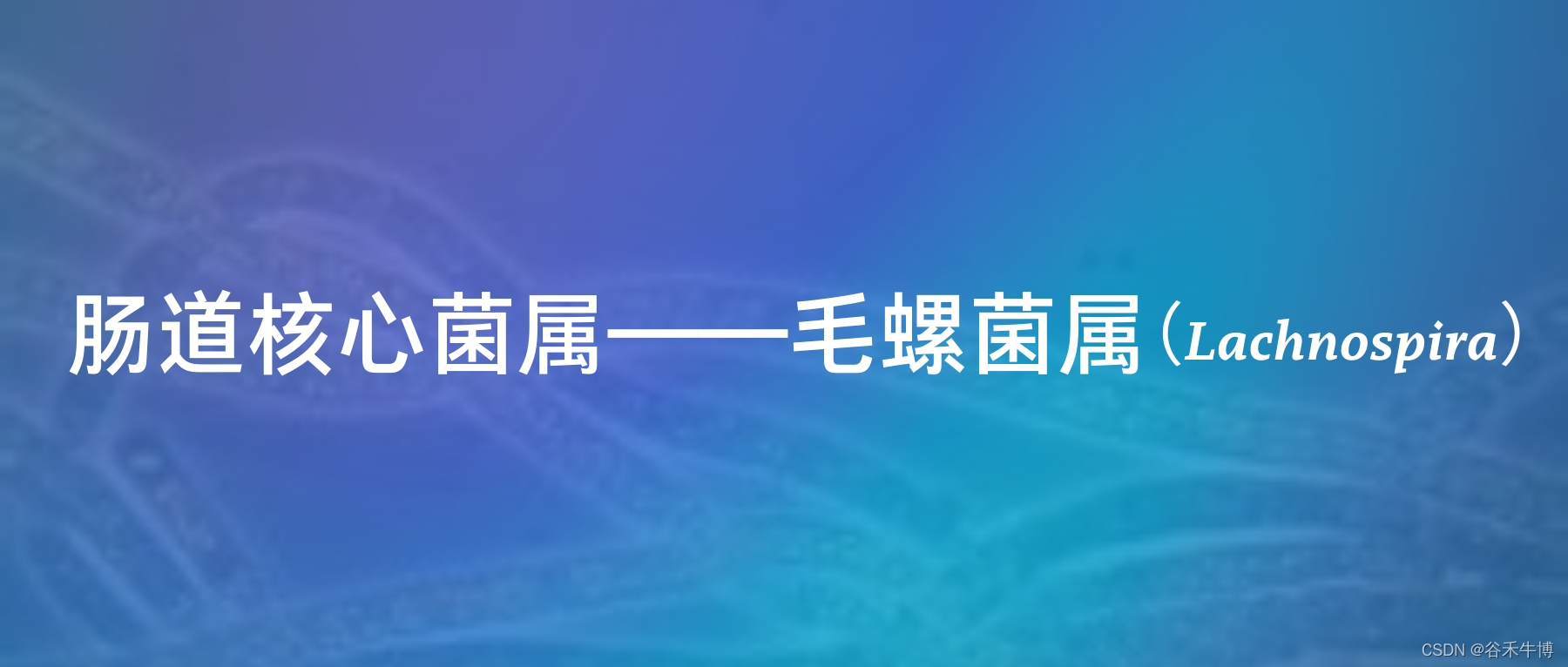 肠道核心菌属——毛螺菌属（Lachnospira）