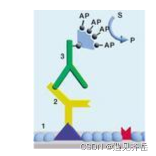 Transferrin (TF) Modified Paclitaxel (PTX) Liposomes (TF-PTX-LP) | Transferrin (Tf) Modified Curcumin Liposomes