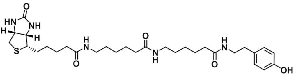 CAS:851113-28-5 (生物素-ahx-ahx-酪胺)