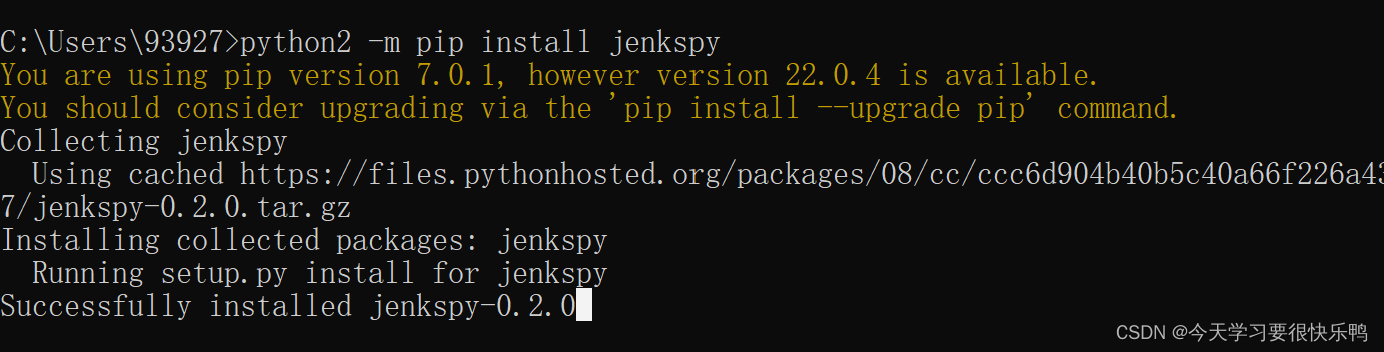 Jenkspy package installation